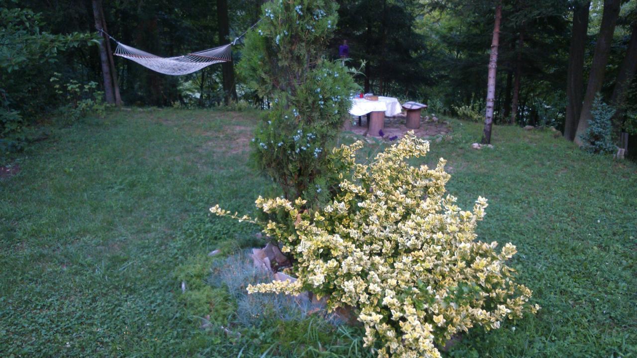 Tammaris Holiday Home Visoko Buitenkant foto