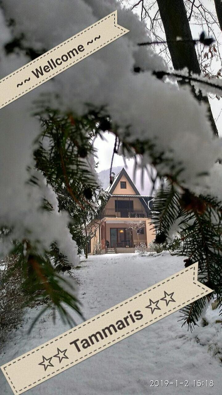 Tammaris Holiday Home Visoko Buitenkant foto