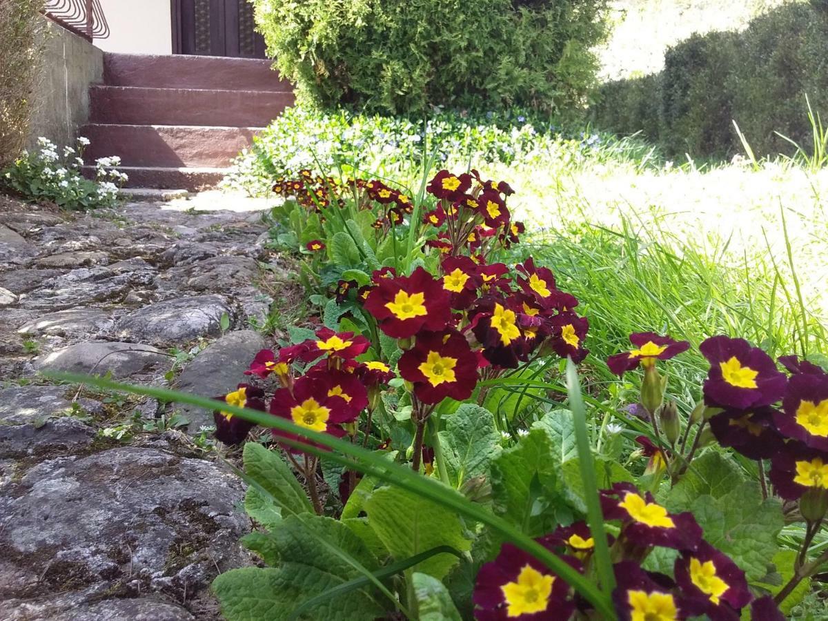 Tammaris Holiday Home Visoko Buitenkant foto